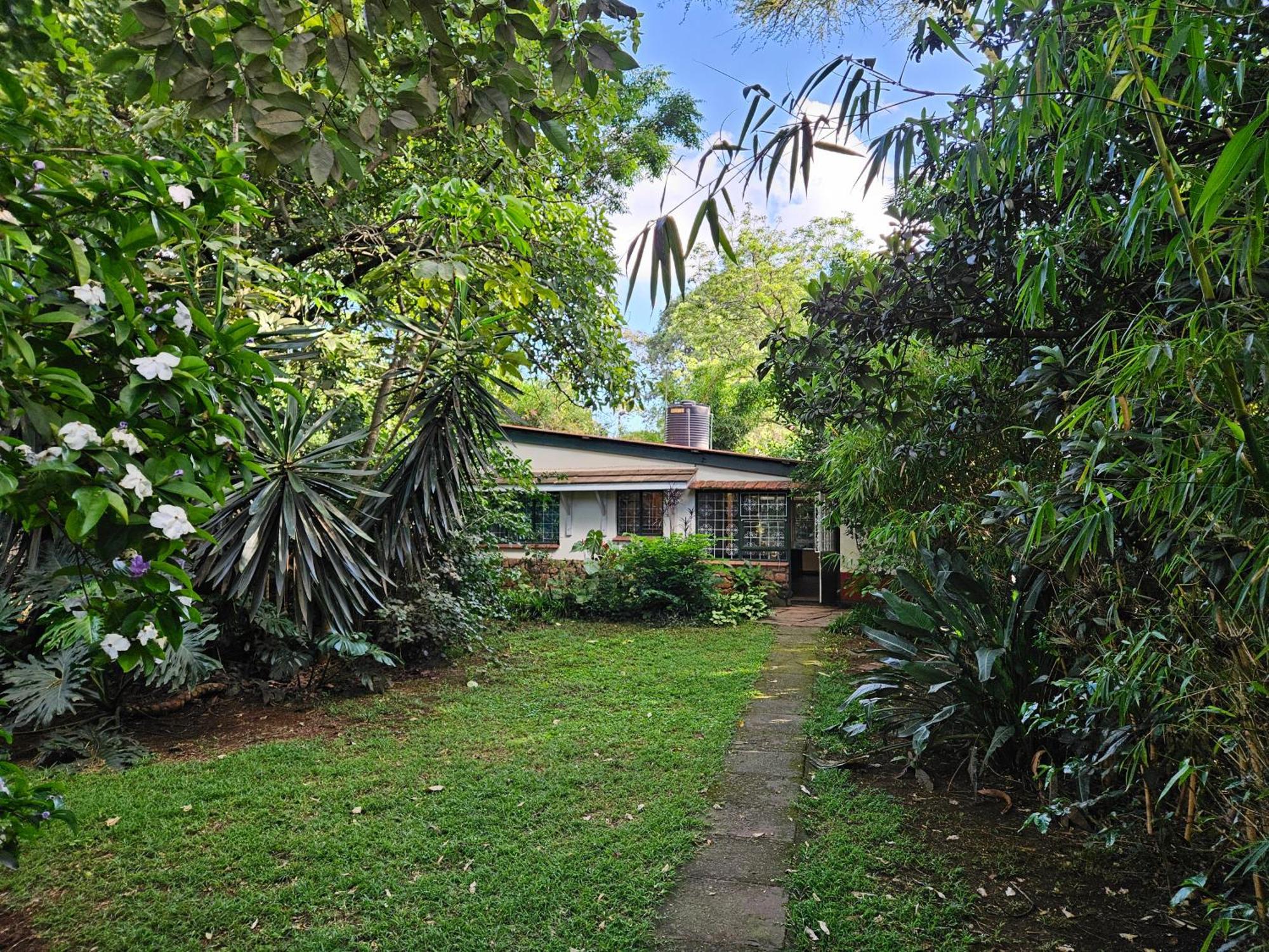 Mad Vervet Nairobi Backpackers Hostel Exterior photo